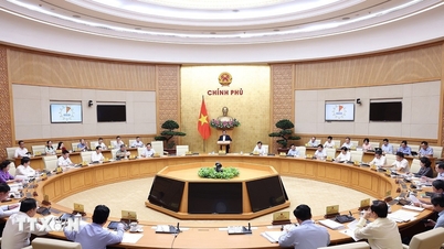 Regular Government meeting in April assesses socio-economic situation
