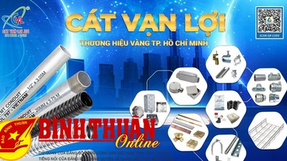 Cát Vạn Lợi tham gia Doanh nghiệp tiên phong (PE) do USAID tài trợ