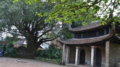 Visiting the architectural relic cluster in Lai Da ancient village, the hometown of General Secretary Nguyen Phu Trong