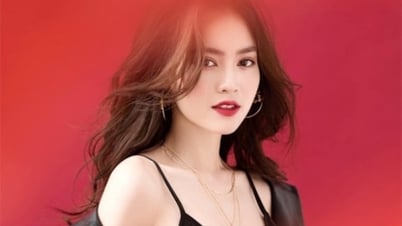 Lan Ngoc: ¿'Jade girl' abandonó su carrera actoral debido a un programa de juegos?