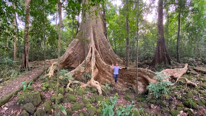 Preserving Cat Tien "paradise" for animals