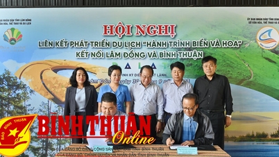 Liên kết phát triển du lịch “Hành trình Biển và Hoa” kết nối Lâm Đồng