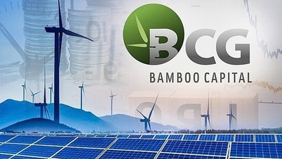 Bamboo Capital ទិញមូលបត្របំណុលជិត ៤០០ ពាន់លានដុងមកវិញមុនកាលកំណត់