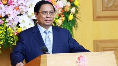 NTO - Thủ tướng: Kinh tế xanh, kinh tế số sẽ là đột phá trong quan hệ Việt Nam