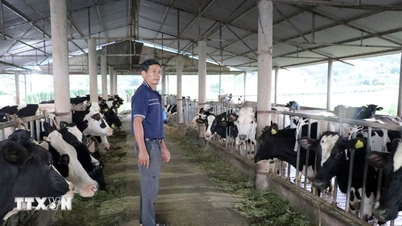 ឈប់​ប្រើ​វ៉ាក់សាំង​ជា​បណ្ដោះអាសន្ន ដើម្បី​ការពារ​ជំងឺ