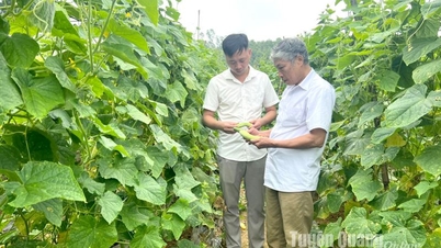 គាំទ្រគោលនយោបាយឥណទាន តាមសេចក្តីសម្រេចចិត្តលេខ០៣ របស់ក្រុមប្រឹក្សាប្រជាជនខេត្ត៖ គាំទ្រការអភិវឌ្ឍន៍ផលិតកម្មនៅតំបន់លំបាក
