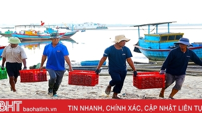 អ្នកនេសាទ​នៅ​ភូមិ​ឆ្នេរ​មួយ​ក្នុង​ខេត្ត Ha Tinh ភាគ​ខាង​ត្បូង​ចាប់​ត្រី​អញ្ចាញ​យ៉ាង​ធំ។