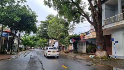 110 tỷ đồng đầu tư đường Nguyễn Tri Phương nối dài