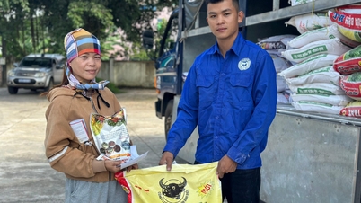 ក្រុមប្រឹក្សាគ្រប់គ្រងគម្រោង SACCR បញ្ចប់ដំណាក់កាលដំបូងនៃការគាំទ្រសម្ភារៈកសិកម្មនៅឆ្នាំ 2023