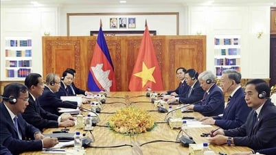 President To Lam holds talks with CPP Chairman and Senate President Hun Sen