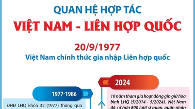 Vietnam cooperation relations