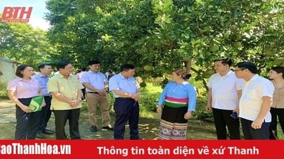 경제를 이끄는 '혈관' 역할 강화