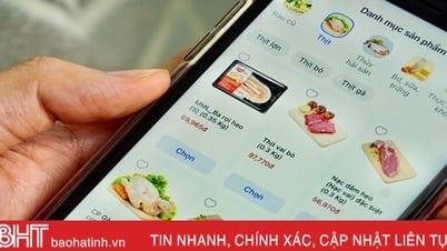 قد يتم منع البائعين عبر الإنترنت الذين لديهم متأخرات ضريبية من مغادرة البلاد