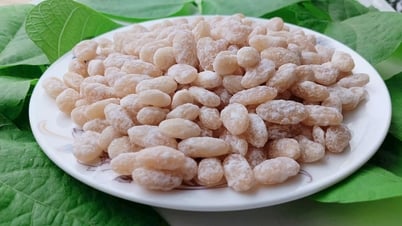 រសជាតិ Tet ពីយៈសាពូនមីដែលដាំដុះនៅផ្ទះ
