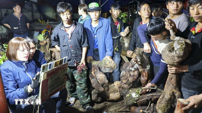 Dien Bien: Unique highland night market of Mong people in Tua Chua