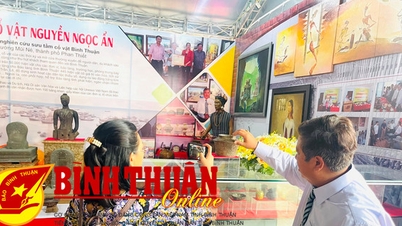 De précieux objets culturels du collectionneur Nguyen Ngoc An sont exposés au public.
