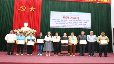 ការវាយតម្លៃលទ្ធផលនៃការអនុវត្តគម្រោង ៨