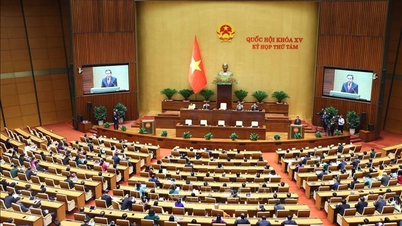 Nghị quyết Kỳ họp thứ 8, Quốc hội khóa XV