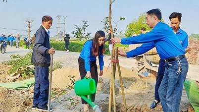Hai Duong organizes the launching of the Giap Thin Spring Tree Planting Festival earlier than expected