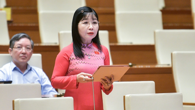 National Assembly Delegate: Press agencies face many difficulties due to financial mechanisms