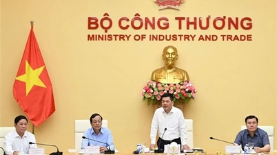 គណៈប្រតិភូខេត្ត Ninh Thuan បានធ្វើការជាមួយគណៈកម្មាធិការបក្សនៃក្រសួងឧស្សាហកម្ម និងពាណិជ្ជកម្ម