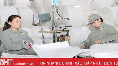 Năm 2023, Hà Tĩnh thu thuế nội địa đạt 9.182 tỷ đồng