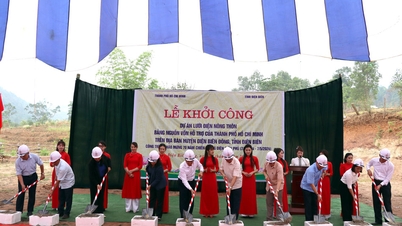 Beginn des ländlichen Stromnetzprojekts mit Unterstützung der Stadt. Ho Chi Minh