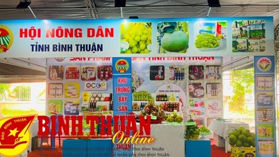 Quảng bá sản phẩm OCOP Bình Thuận tại hội chợ triển lãm TP. Hồ Chí Minh