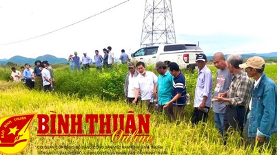 Cầu nối vững chắc giữa nông dân với Đảng, Nhà nước﻿.﻿ Bài 3