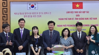 Tam Kỳ và TP.Pyeongtaek (Hàn Quốc) thúc đẩy quan hệ hợp tác hữu nghị