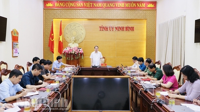 កិច្ច​ប្រជុំ​ការងារ​ចលនា​មហាជន​ត្រីមាស​ទីពីរ