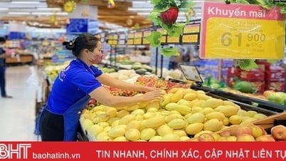 Co.opmart Ha Tinh ចាប់ផ្តើមឆ្នាំថ្មីជាមួយនឹងកម្មវិធីផ្សព្វផ្សាយបុណ្យណូអែល