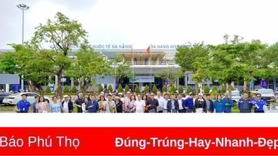 សូមណែនាំក្រុមហ៊ុនទេសចរណ៍ Da Nang ដ៏ល្បីល្បាញក្នុងឆ្នាំ 2025