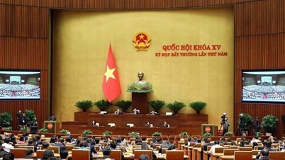 ពិចារណាលើនិយតកម្មធនាគារពាណិជ្ជជាភ្នាក់ងារធានារ៉ាប់រងអាយុជីវិត