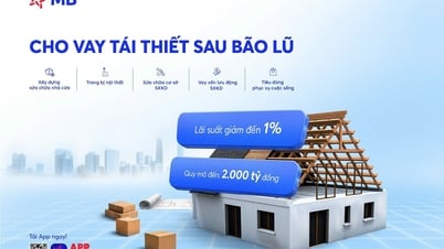 MB ដាក់ពង្រាយកញ្ចប់ប្រាក់កម្ចីចំនួន 2,000 ពាន់លានដុង ដើម្បីផ្គត់ផ្គង់ប្រជាជនដែលរងផលប៉ះពាល់ដោយព្យុះ និងទឹកជំនន់
