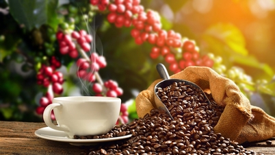 Who is Vietnam's largest coffee exporter?