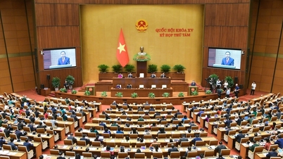 Thông cáo báo chí số 1, Kỳ họp thứ 8, Quốc hội khóa XV