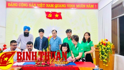 Opportunity for Binh Thuan dragon fruit to increase its value. Part 1