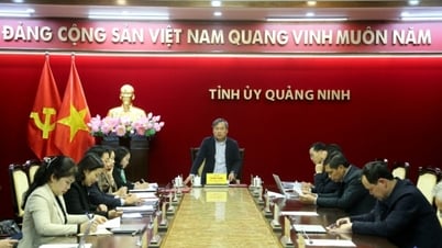 Thường trực Tỉnh ủy giao ban công tác tuần