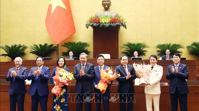 The National Assembly approved the appointment of the Deputy Prime Minister and Minister of Public Security, and elected the Vice Chairman of the National Assembly.