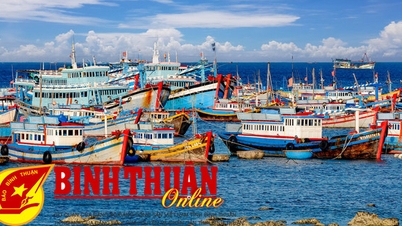 ខំប្រឹង​ប្រែង​ជាមួយ​ប្រទេស​ទាំង​មូល​ដើម្បី​ដក​«កាត​លឿង»​ចេញ​ក្នុង​ការ​ត្រួត​ពិនិត្យ​លើក​ទី​៥