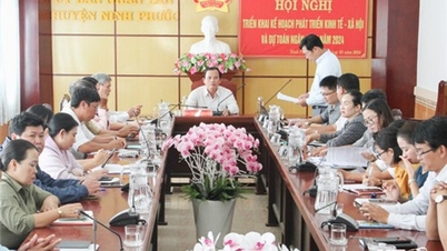 NTO - Ninh Phuoc៖ អនុវត្តផែនការអភិវឌ្ឍន៍សេដ្ឋកិច្ច