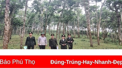 Kỳ I: Trợ lực kịp thời