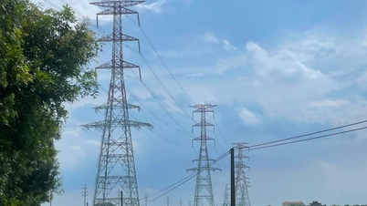 Ensuring safety of all activities in the 500kV line area through Hai Duong
