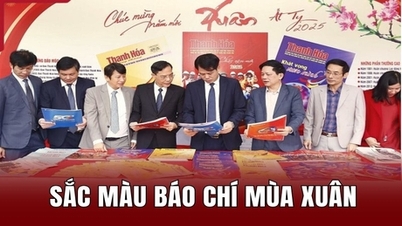 ពណ៌សារព័ត៌មាននិទាឃរដូវ