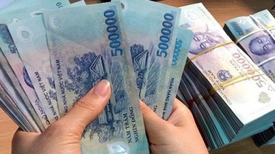 20 doanh nghiệp chốt quyền trả cổ tức bằng tiền tuần tới, VCF trả cao nhất 250%