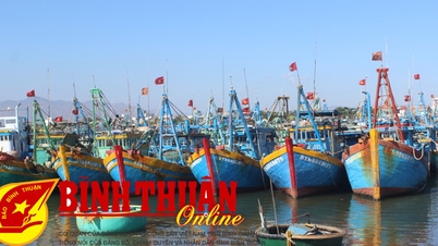 Thực hiện quyết liệt tháng cao điểm tổng rà soát tàu cá toàn tỉnh