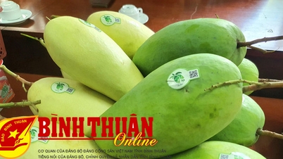 សន្និសីទស្តីពីការវាយតម្លៃ និងចាត់ថ្នាក់ផលិតផល OCOP ដំណាក់កាលទី១-ឆ្នាំ២០២៣