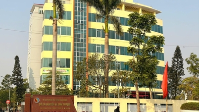 Reduce 8 departments and units when merging the Department of Natural Resources and Environment with the Department of Agriculture and Rural Development