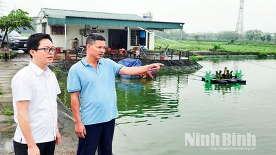 Nho Quan Staff rotation creates momentum for development